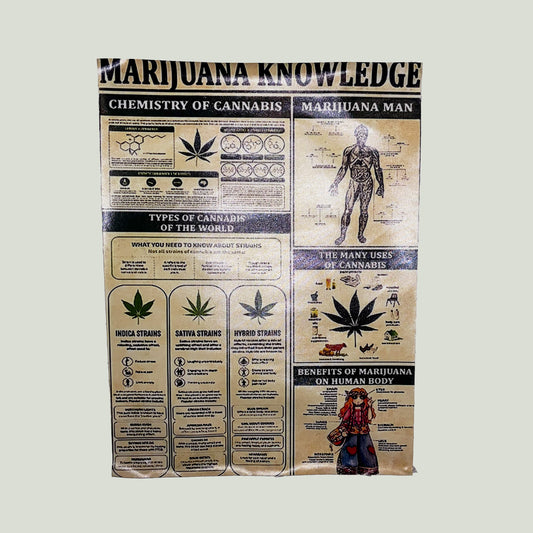 Poster Marijuana Knowledge